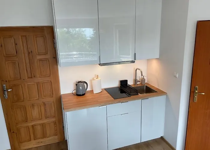 山林小屋 Promyczek